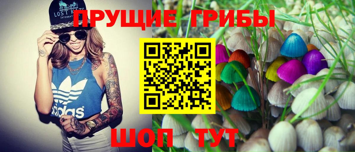 Псилоцибиновые грибы Magic Shrooms  Вход с VPN  где купить наркотик  Малгобек 